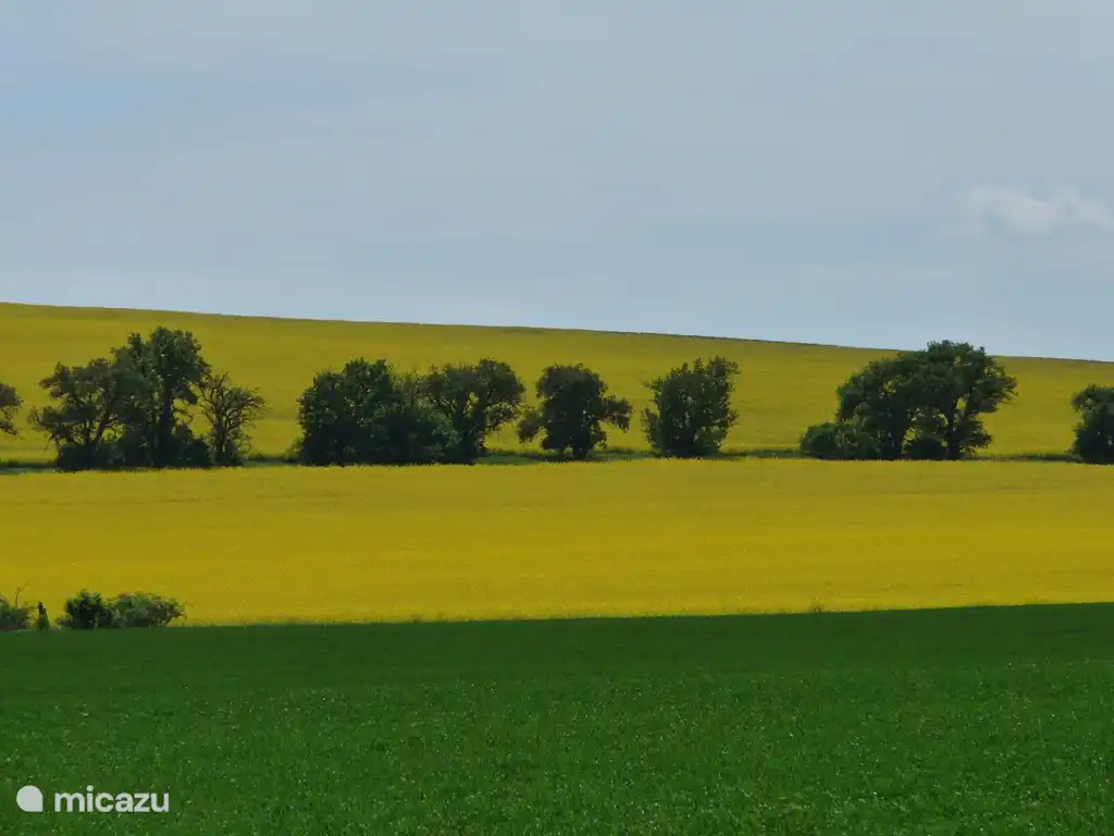 tierra ondulada en bohemia