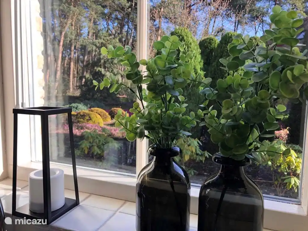 Blick aus der Küche