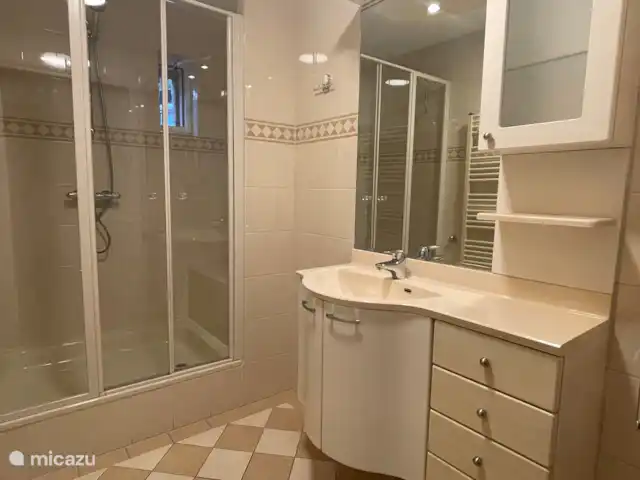 Maison Beerse | Pays-Bas, Overijssel, Beerze - maison de vacances La salle de bain dispose d'une douche à l'italienne extra spacieuse et d'un lavabo.