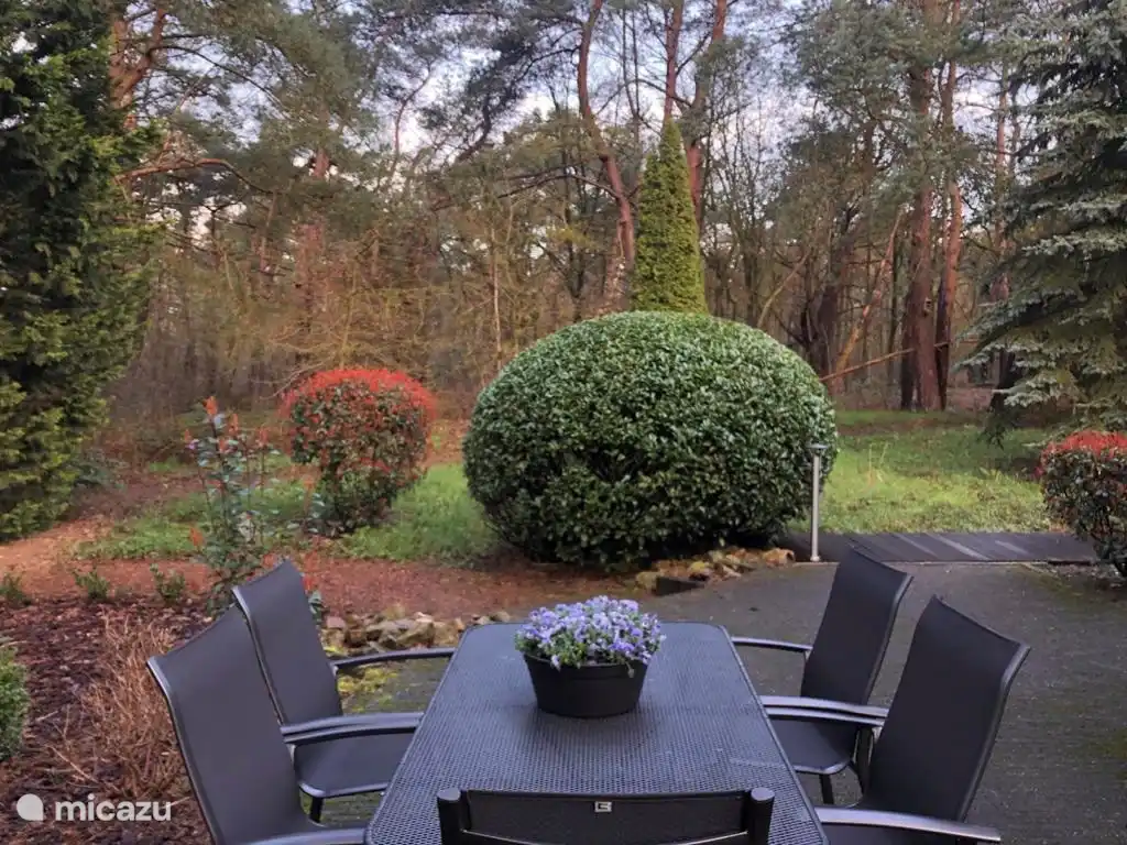 Der Garten des Hauses grenzt an den Wald.