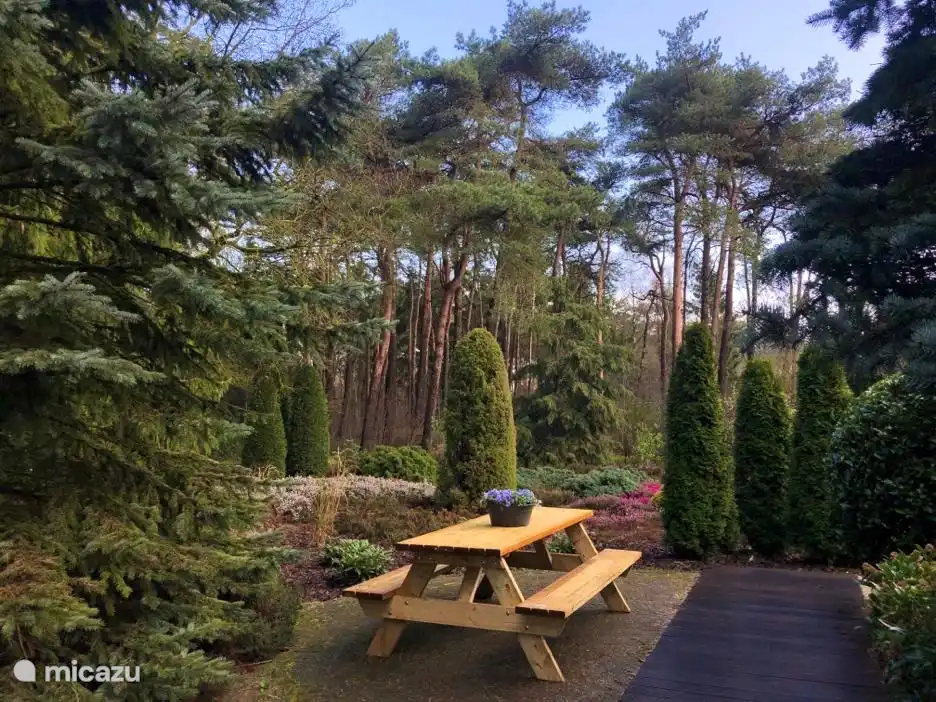 Der Garten des Hauses grenzt an den Wald.