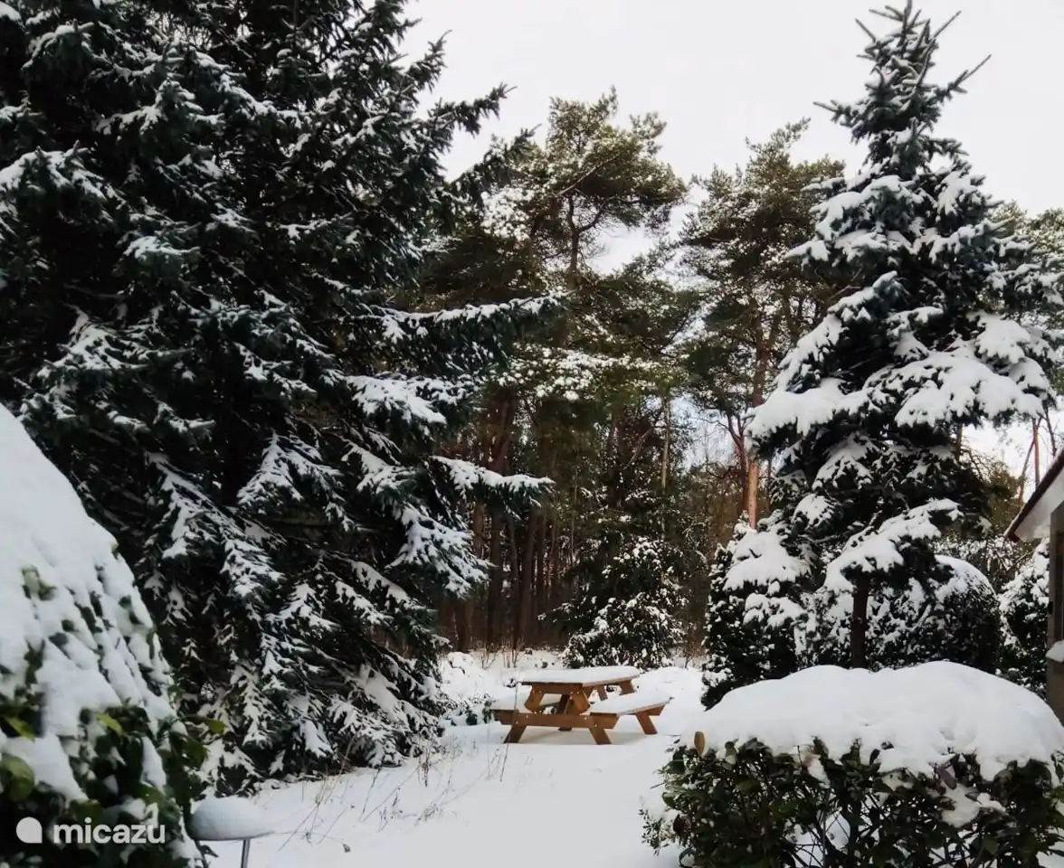 Haus Beerze im Schnee
