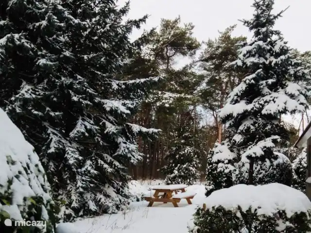 Maison Beerse | Pays-Bas, Overijssel, Beerze - maison de vacances Maison Beerze sous la neige