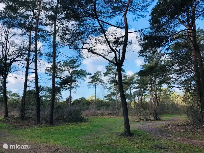 Naturschutzgebiet Beerzerzand