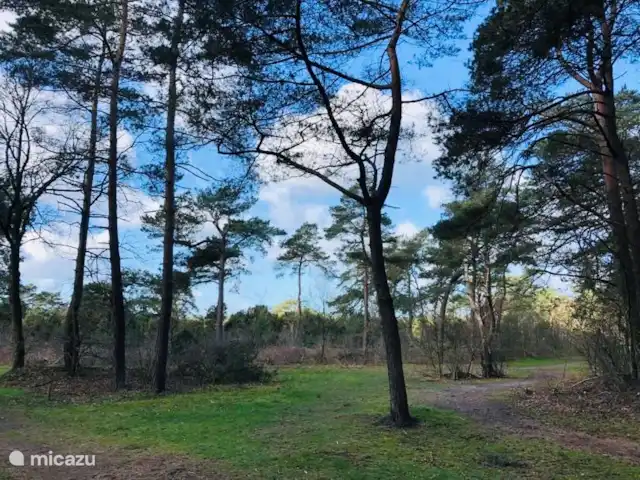 Maison Beerse | Pays-Bas, Overijssel, Beerze - maison de vacances Réserve naturelle Beerzerzand