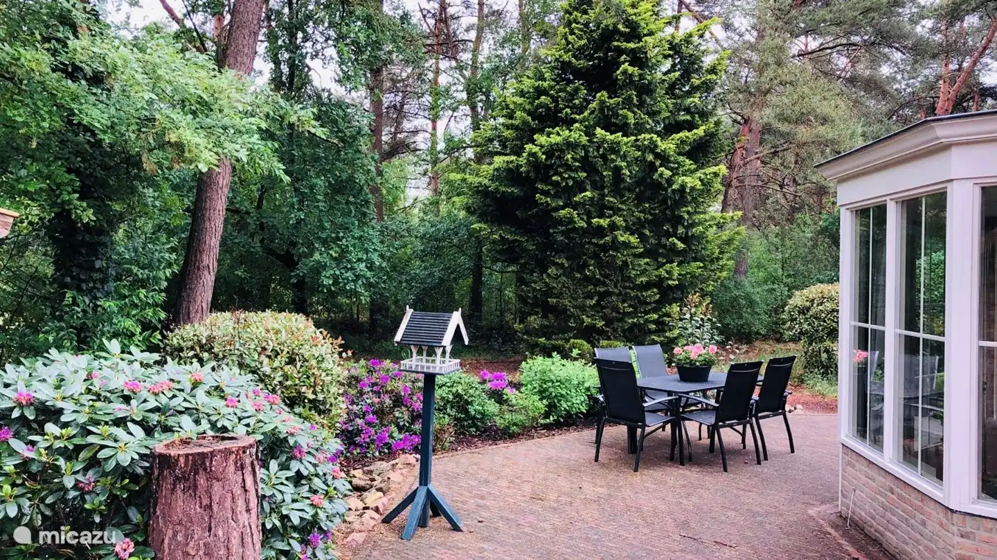 Sie können vom Garten aus in den Wald gehen!