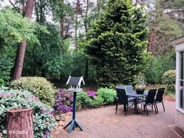 Maison Beerse | Pays-Bas, Overijssel, Beerze - maison de vacances Depuis le jardin, vous pouvez marcher directement dans la forêt !