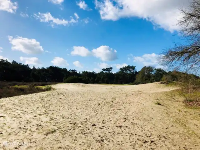 Maison Beerse | Pays-Bas, Overijssel, Beerze - maison de vacances Sahara Omen