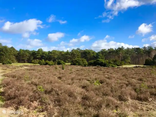 Maison Beerse | Pays-Bas, Overijssel, Beerze - maison de vacances Forêt Ommen