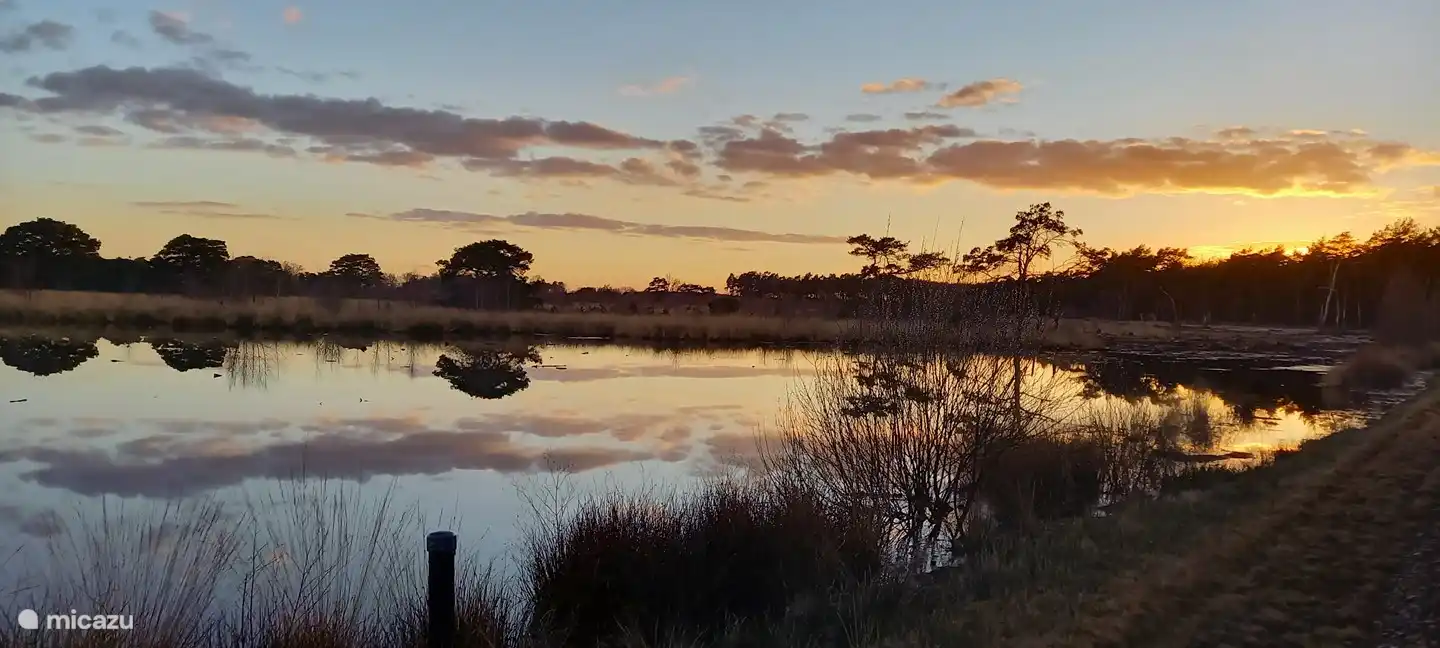 Schönes Vechtdal nur wenige Gehminuten von Huize Beerze entfernt. Foto von Frau Van Boxmeer (Gast März 2021)