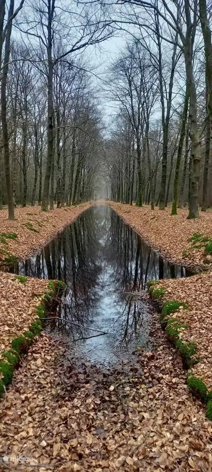 Eerde-Anwesen. Foto von Frau Van Boxmeer (Gast März 2021)