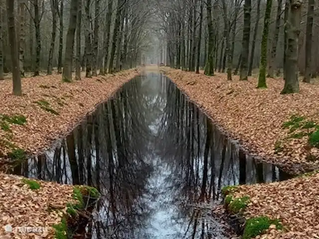 Maison Beerse | Pays-Bas, Overijssel, Beerze - maison de vacances Domaine d'Eerde.
Photo de Mme Van Boxmeer (invitée mars 2021)