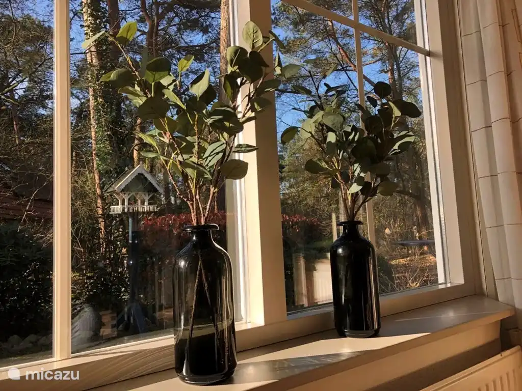 Die Sonne im Erker genießen