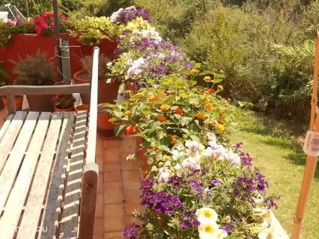 Des vacances parfaites en Toscane | Italie, Toscane, Rosignano Marittimo - maison de vacances belle nature