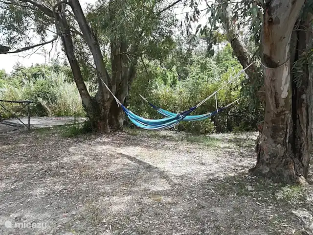 Des vacances parfaites en Toscane | Italie, Toscane, Rosignano Marittimo - maison de vacances se détendre