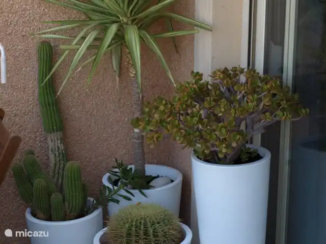 appartement huren in Spanje, Costa Blanca, El Campello – Casa Sophia Balkon