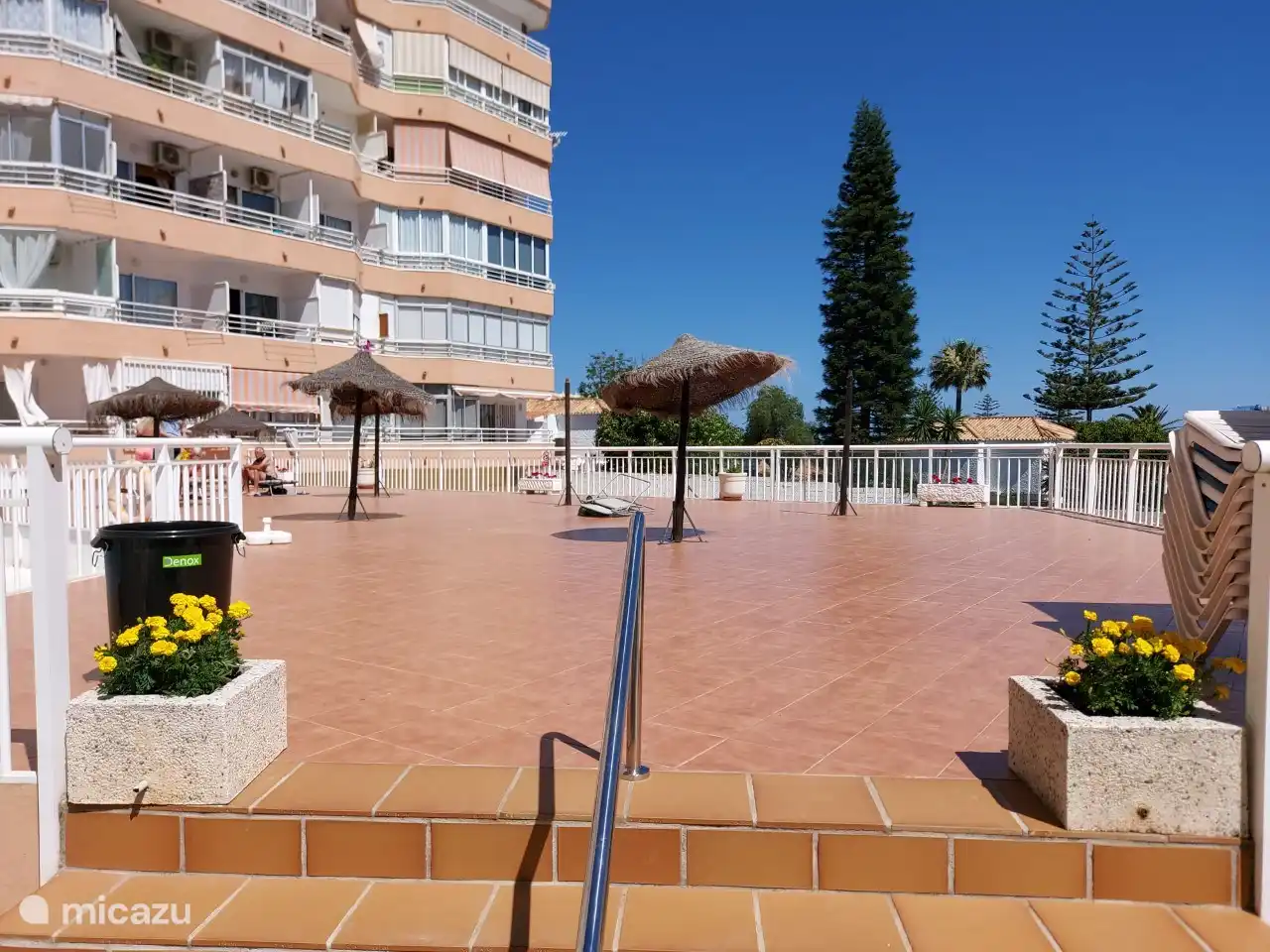 Terraza solárium en el complejo