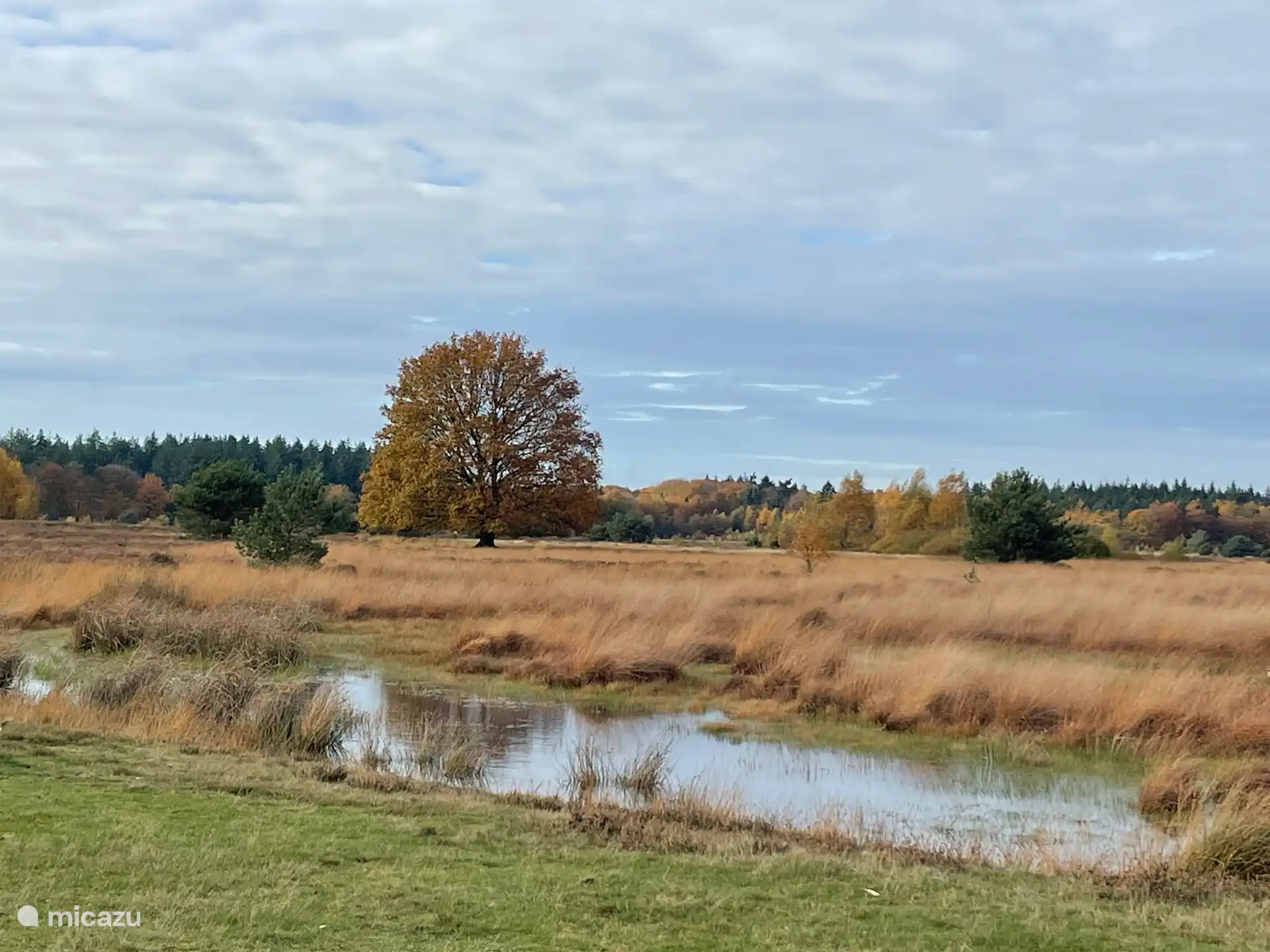 Vennetje op Het Molenveld, Exloo
