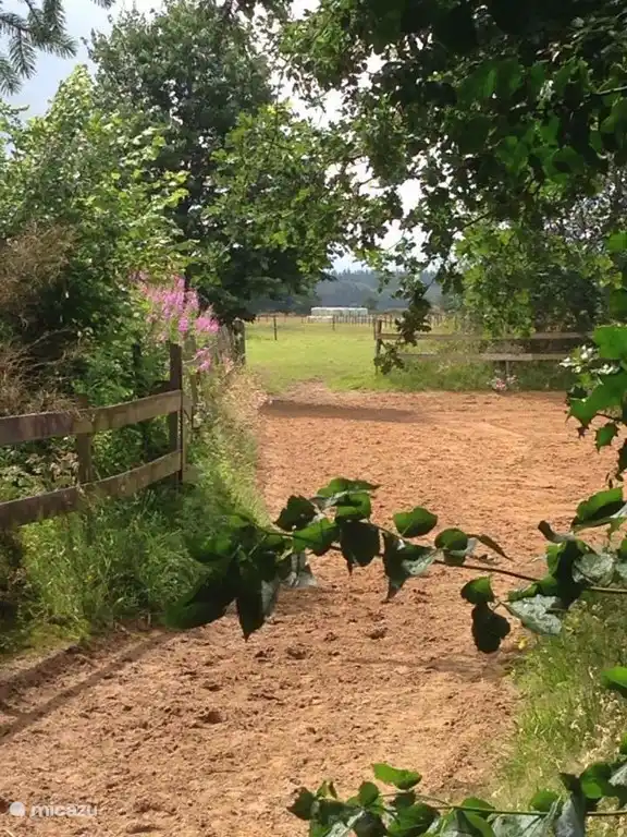 Regarde entre les deux