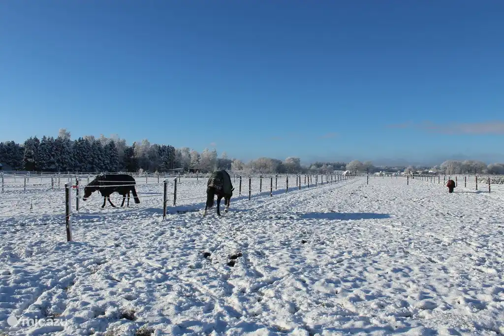Zone derrière 't Hoeske vers la lande.