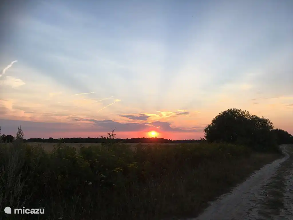 Environnement derrière 't Hoeske