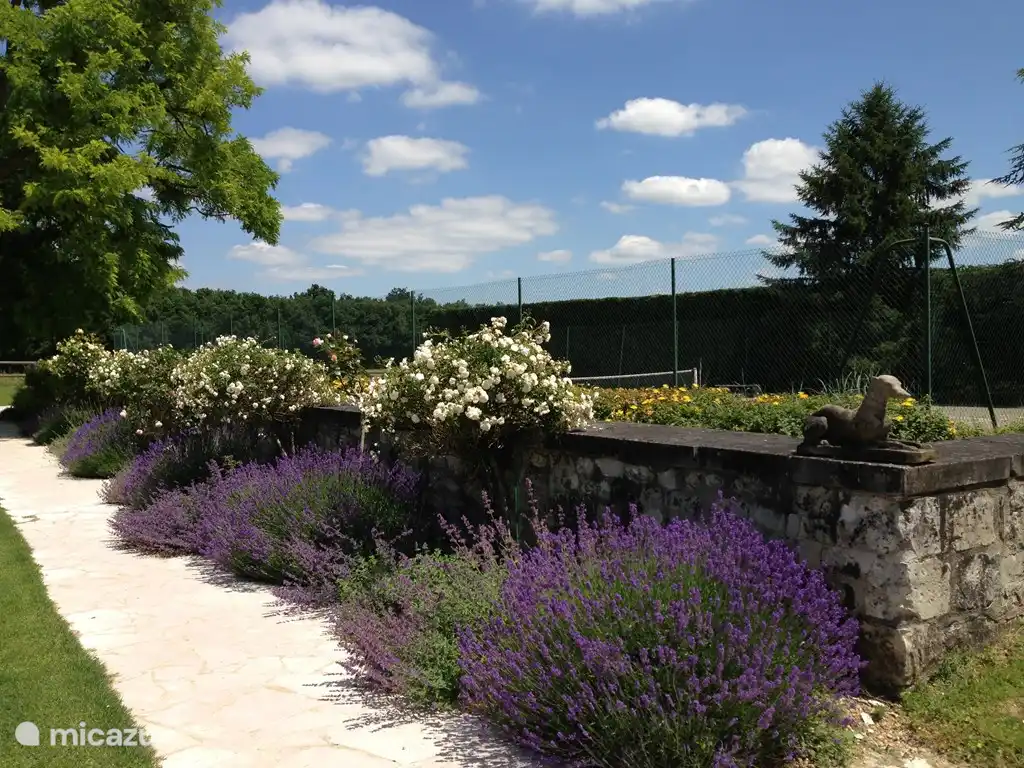 Teil des Gartens neben dem Tennisplatz.