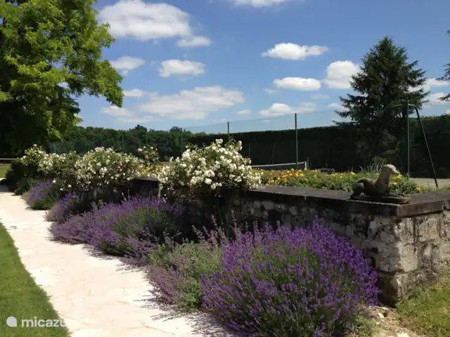 Maison d’hôtes du château à louer | France, Indre-et-Loire, Chinon - maison de vacances partie du jardin à côté du court de tennis.