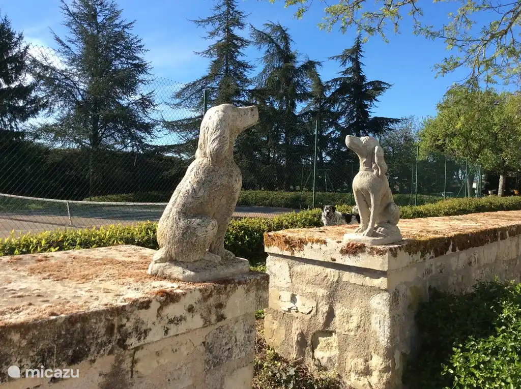 Haustiere sind auf Anfrage willkommen.