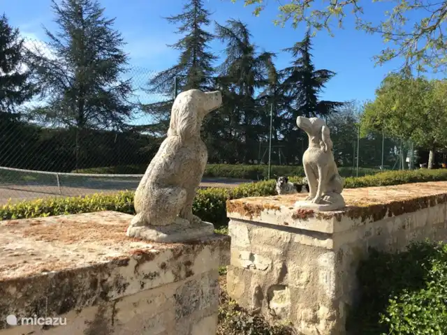 Maison d’hôtes du château à louer | France, Indre-et-Loire, Chinon - maison de vacances Les animaux de compagnie sont les bienvenus sur demande.