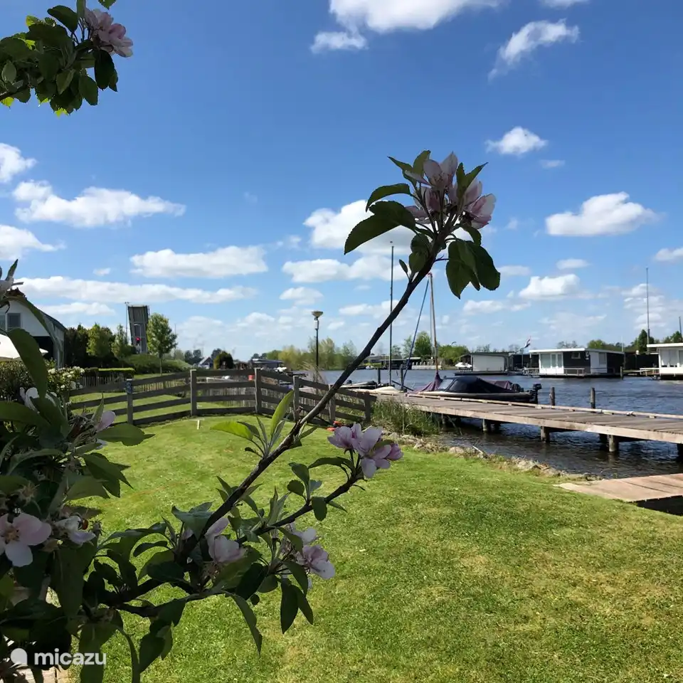 Vista a la izquierda