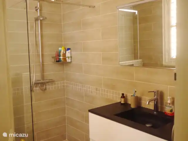 Maravilloso apartamento junto al mar en Niza en Francia, Costa Azul, Niza  - apartamento Baño 1