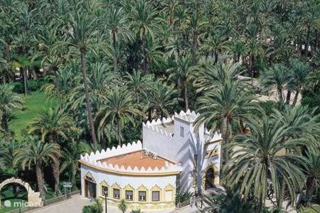 elche stad met prachtig palmenbos