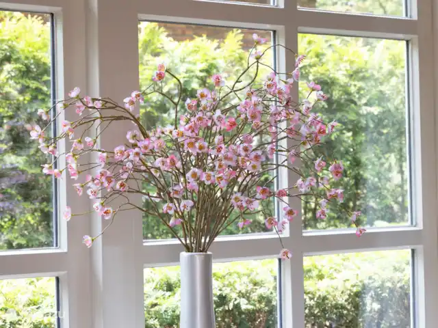 La Source - Succession | Pays-Bas, Overijssel, Losser - bungalow