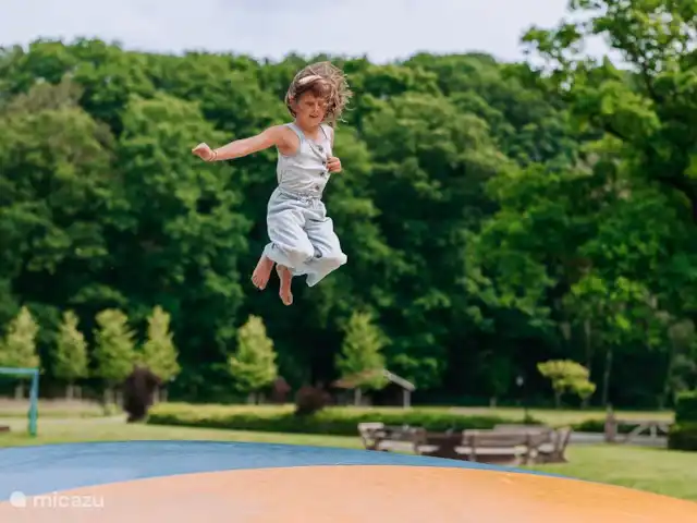 La Source - Succession | Pays-Bas, Overijssel, Losser - bungalow