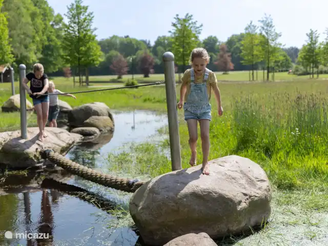 La Source - Succession | Pays-Bas, Overijssel, Losser - bungalow