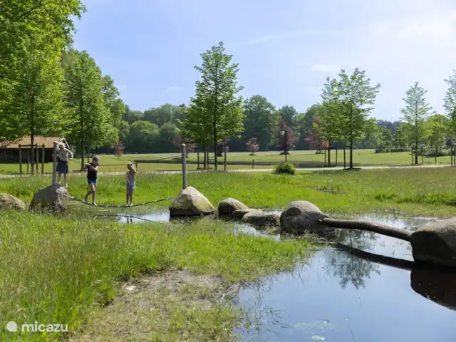 La Source - Succession | Pays-Bas, Overijssel, Losser - bungalow