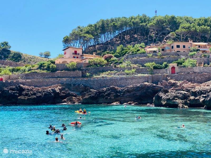 Ferienwohnung Spanien, Mallorca, Cala San Vicente Appartement Direkt am Strand - 'Irina'