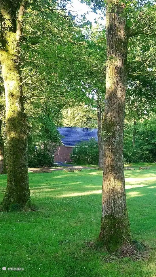 Wenn Sie der Route im Naturpark folgen, sehen Sie unser Ferienhaus auf der rechten Seite. Das Gras ist ein Teil des großen Spielfeldes.