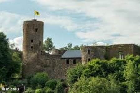 Burchtruïne in Burg Reuland (4km)