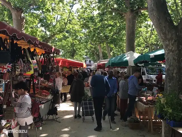 markt in Saint Chinian