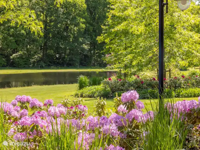 Bungalow de Bron - Domaine | Pays-Bas, Overijssel, Losser - chalet