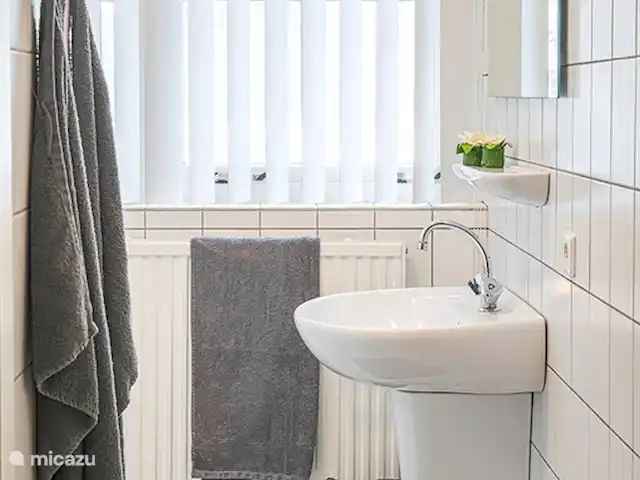 Bungalow de Bron - Domaine | Pays-Bas, Overijssel, Losser - chalet Salle de bains
