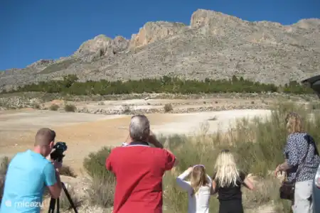 Vakantiehuis Spanje, Andalusië, Velez Rubio boerderij Casa Paco Gieren spotten