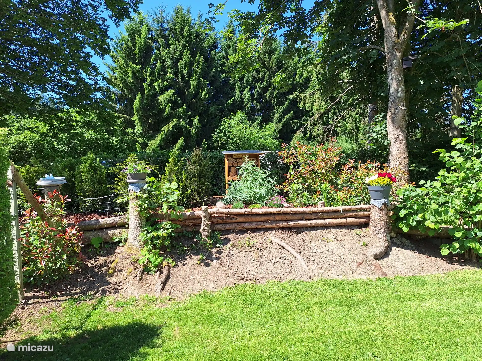 Dans le jardin
