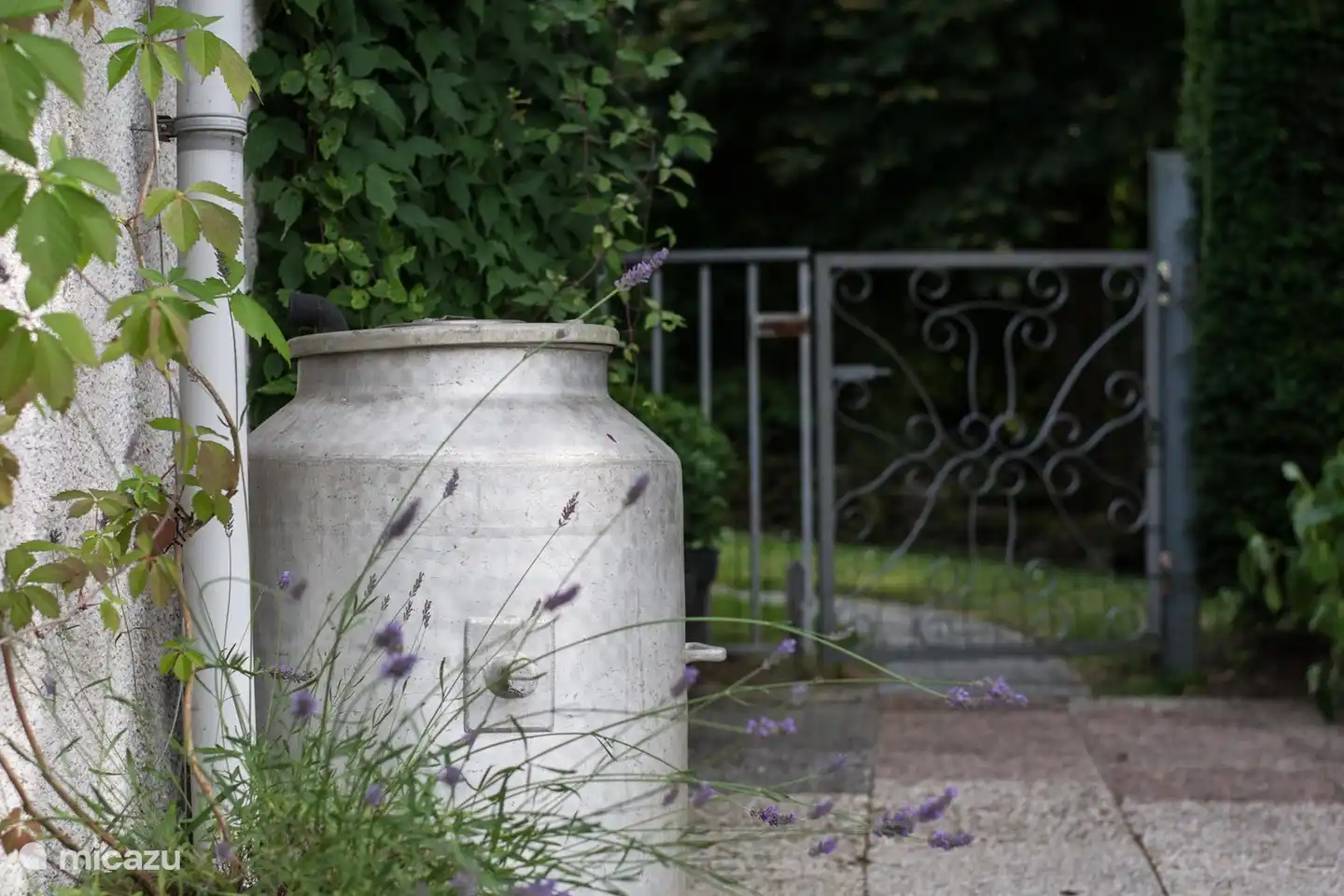 Bec verseur de lait d’origine maintenant utilisé comme baril de pluie