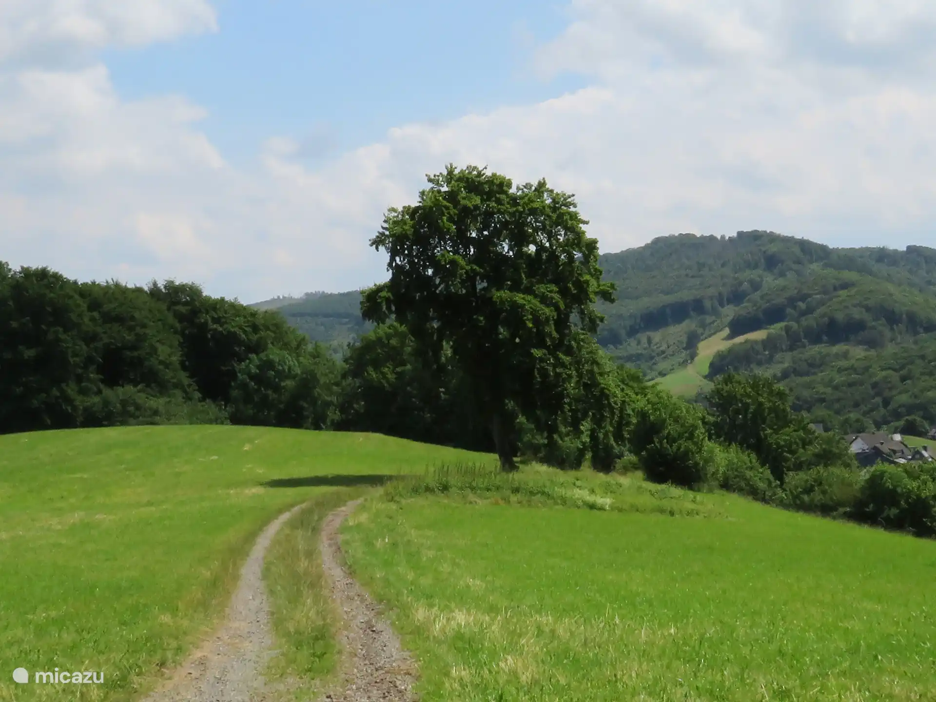 De mooie omgeving van het Hochsauerland!