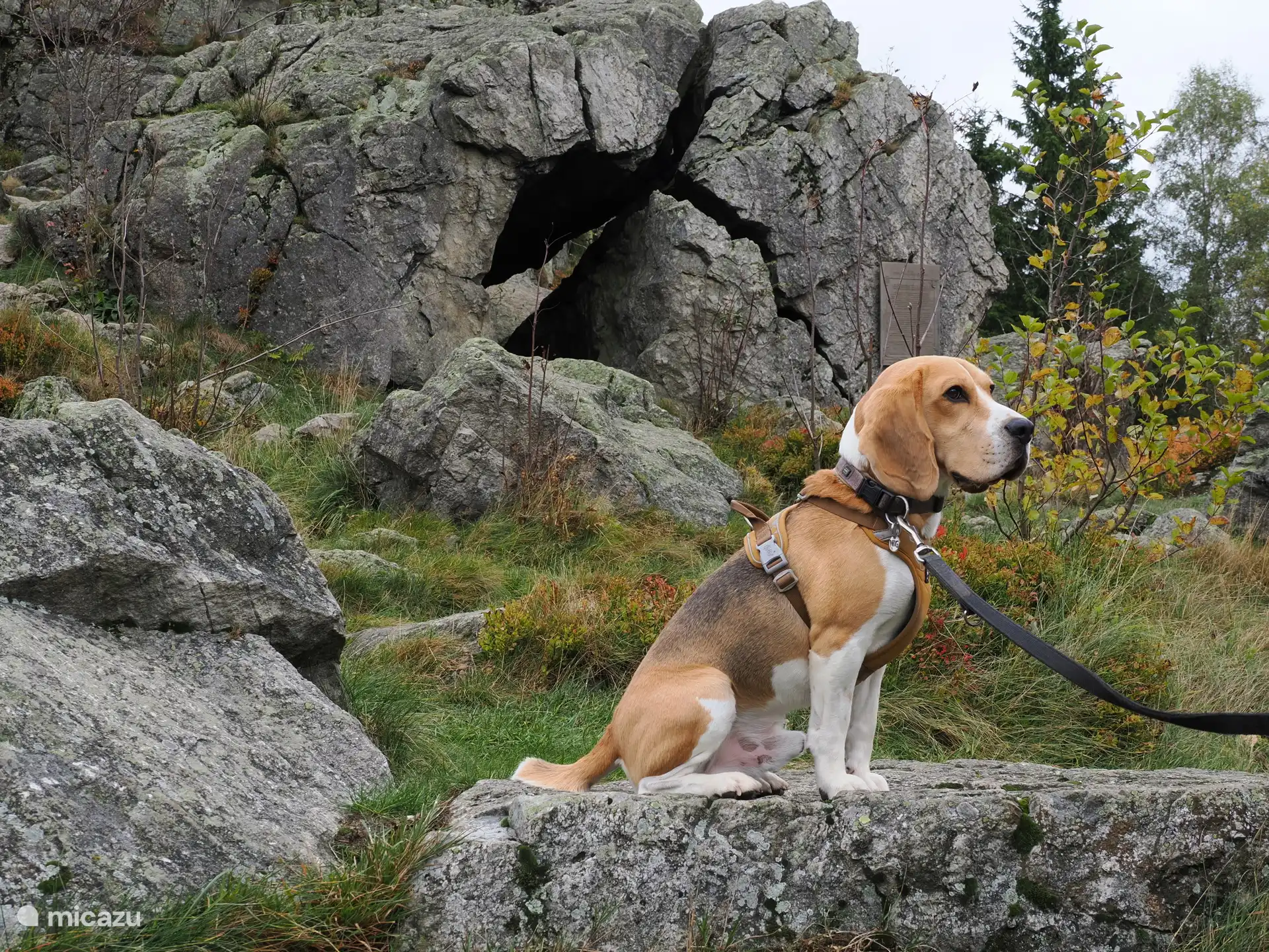Senderismo en el Bruchhauser Steine