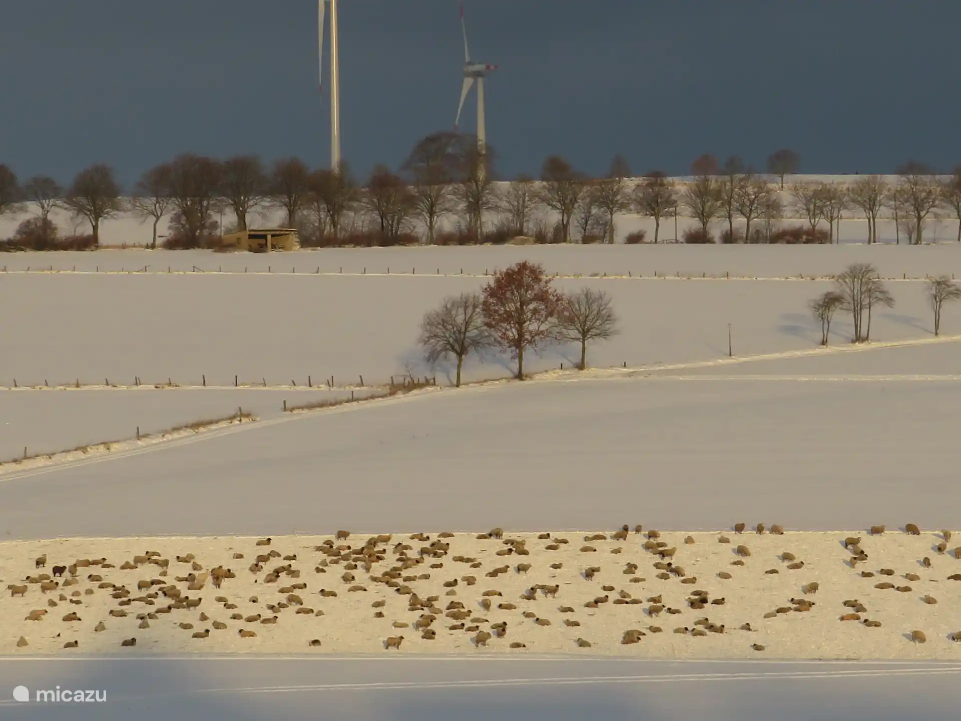 Uitzicht vanuit de Ferienwohnung in de winter.
