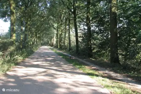 Vakantiehuis Nederland, Gelderland, Aalten chalet Chalet de Zwaluw omgeving