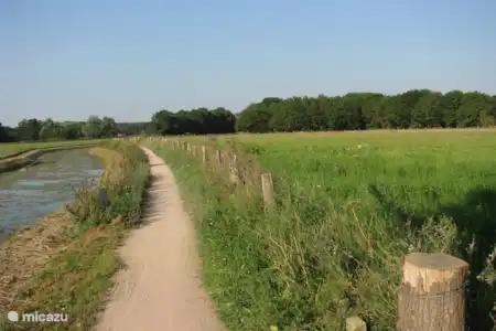 Vakantiehuis Nederland, Gelderland, Aalten chalet Chalet de Zwaluw omgeving